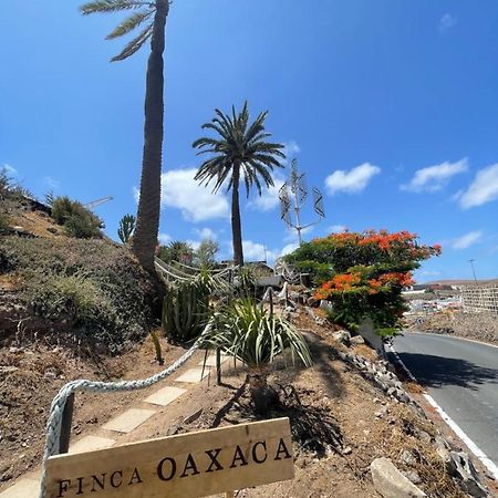 Finca Oaxaca - Casa Iguana Agaete  Exteriér fotografie